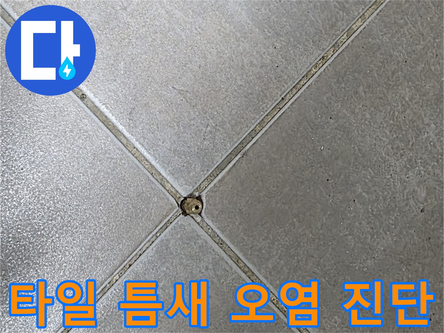 옥정 율정마을 아파트 타일 틈새 오염 - 누수 전문가가 정확하게 진단해 드립니다.