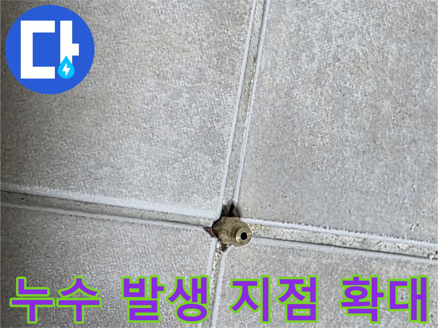 옥정 율정마을 아파트에서 발생한 타일 틈새 누수 지점 확대 사진 - 작은 틈새도 놓치지 않고 꼼꼼하게 확인합니다.