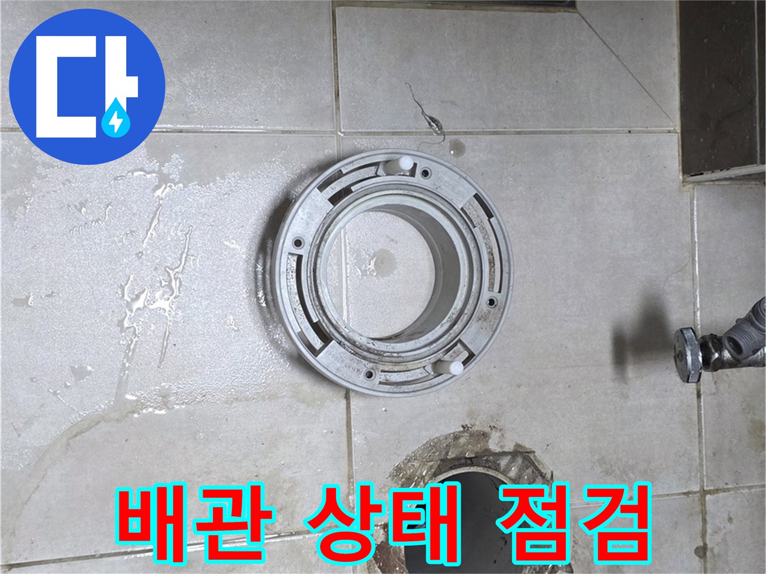 옥정동 율정마을 아파트 변기 하수구 - 배관 상태 꼼꼼하게 점검