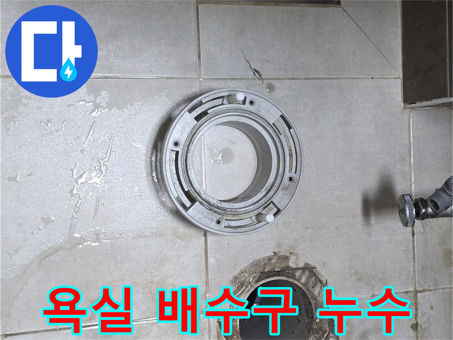 옥정동 율정마을 아파트 욕실 배수구 주변 누수 - 누수 문제 해결 전문가