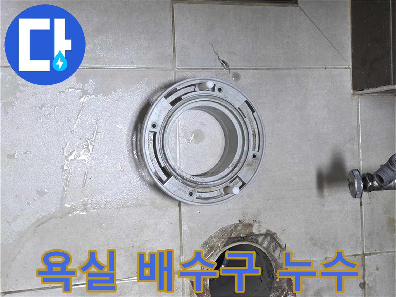 옥정동 율정마을 아파트 욕실 배수구 주변 누수 - 누수 문제 해결 전문가의 완벽 해결