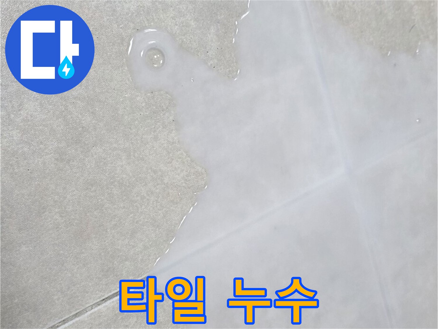 옥정동 율정마을 아파트 타일 누수 - 누수 탐지부터 완벽 시공까지