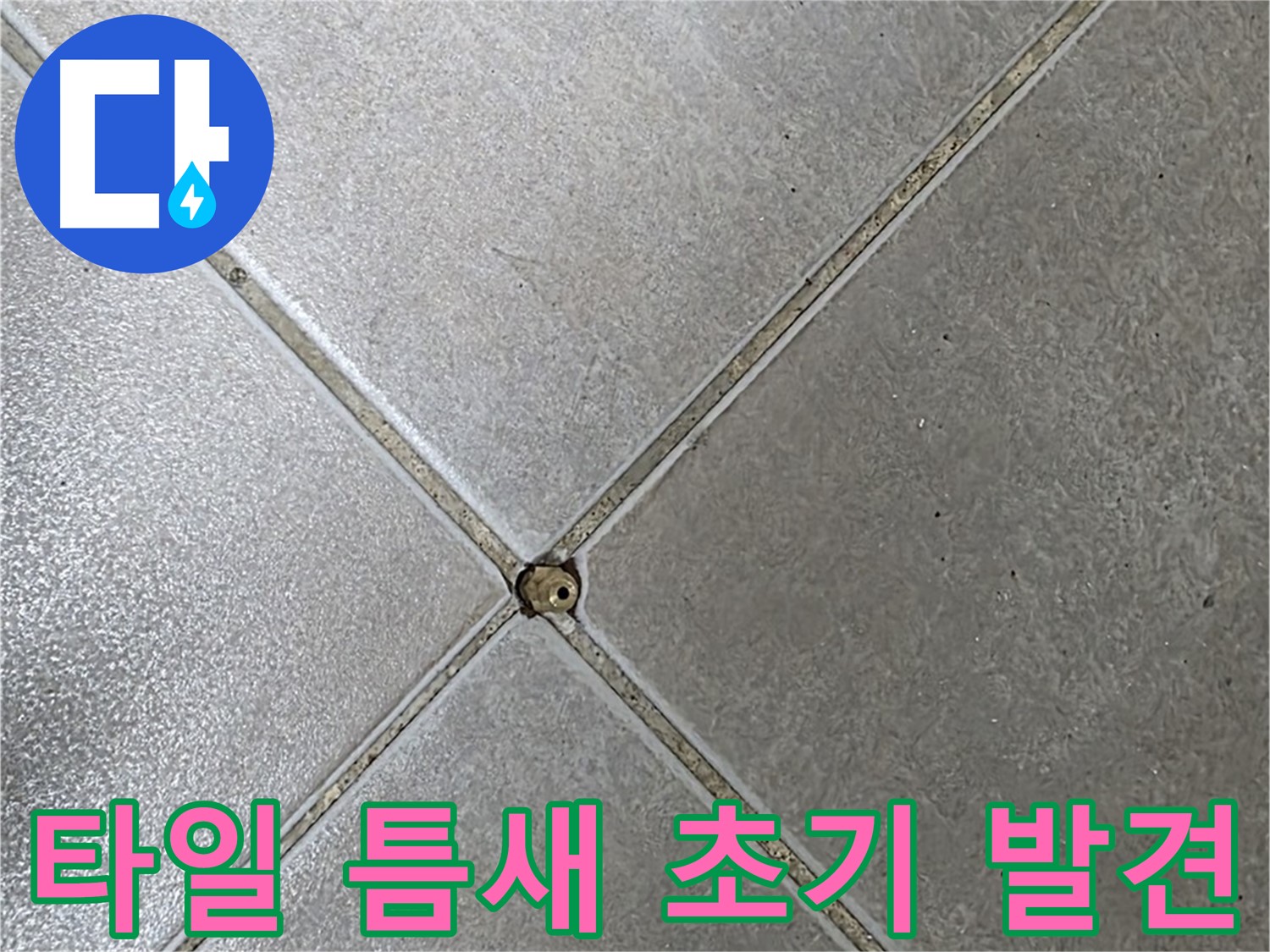 옥정동 율정마을 아파트 타일 틈새 누수 - 초기 발견 사진입니다.