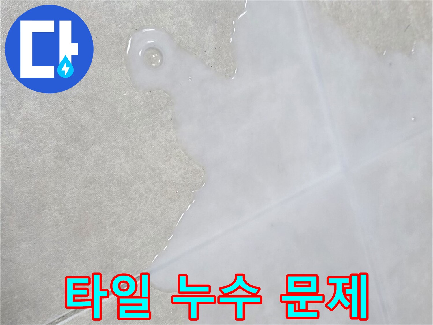 옥정신도시 율정마을 아파트 타일 누수 문제 - 누수 전문가가 해결