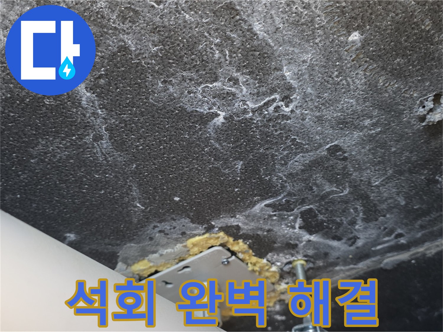 동패동 아파트 누수 - 천장 누수 석회 문제 완벽 해결 완료
