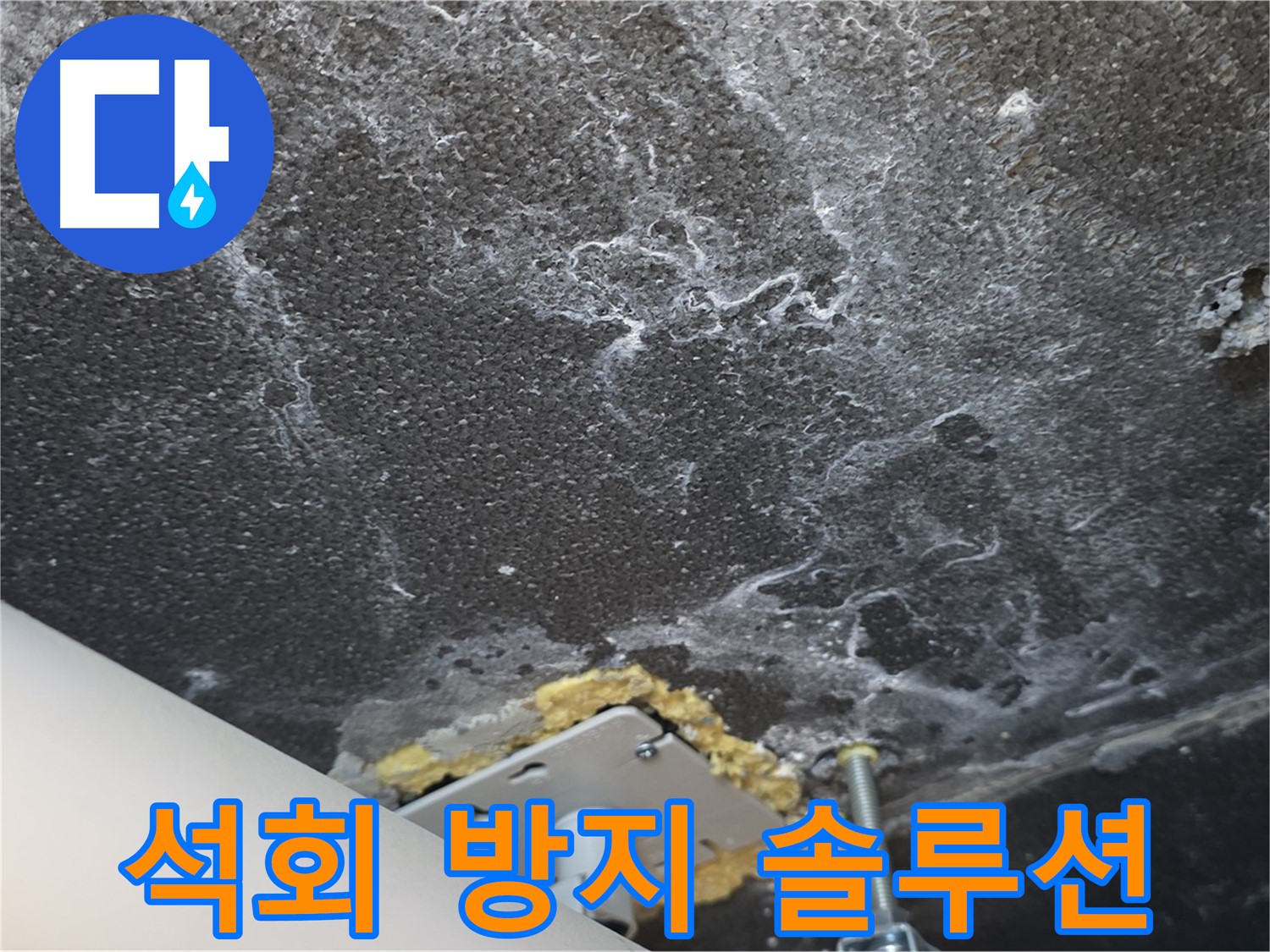 동패동 아파트 누수 - 천장 누수 석회 방지 맞춤 솔루션 제공