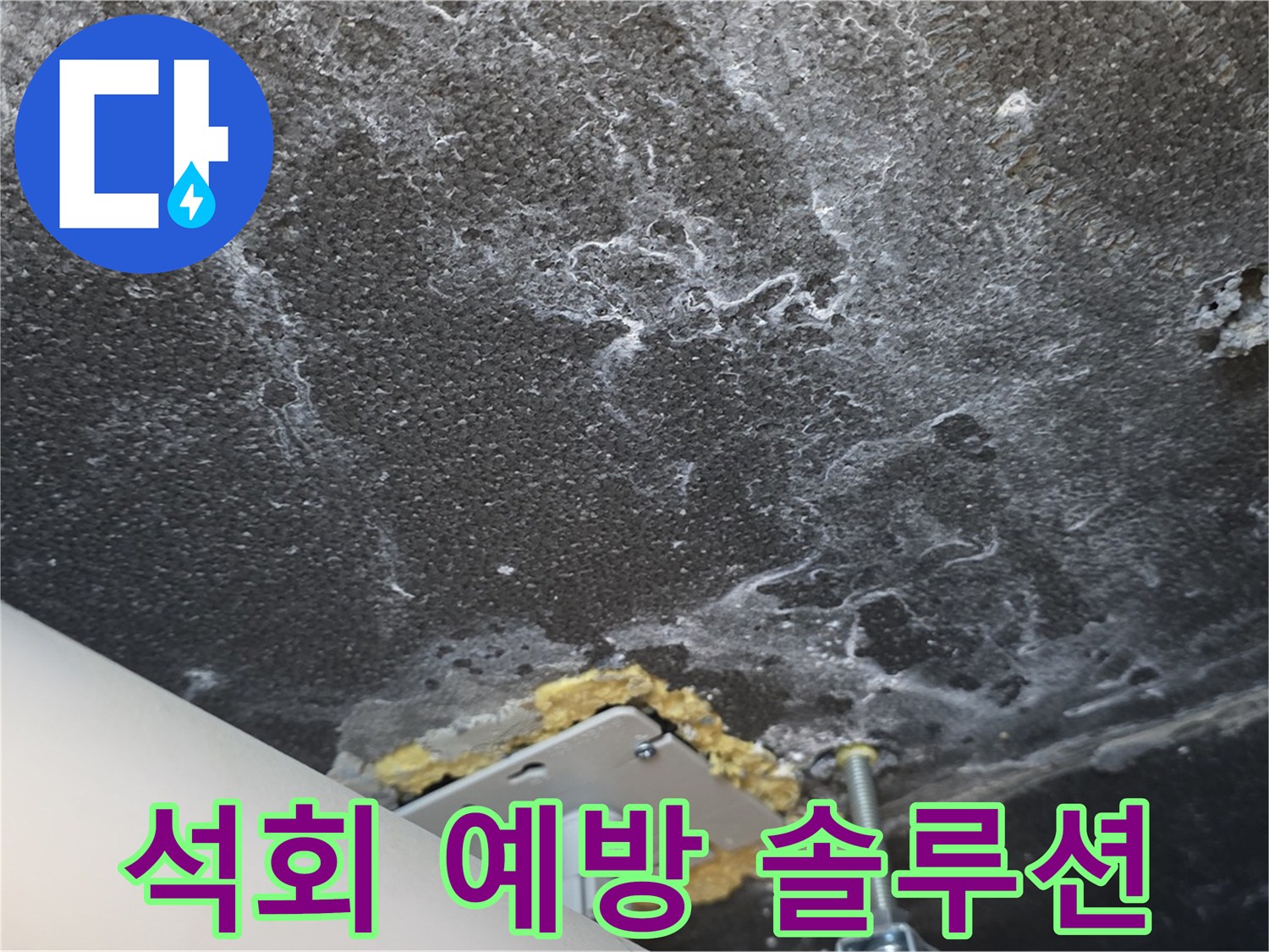 동패동 아파트 누수 - 천장 누수 석회 예방 솔루션 제공