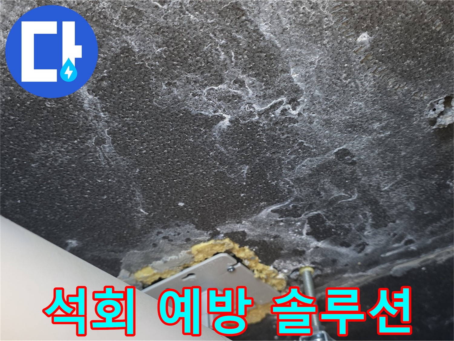 동패동 아파트 누수 - 천장 누수 석회 예방 솔루션 제공