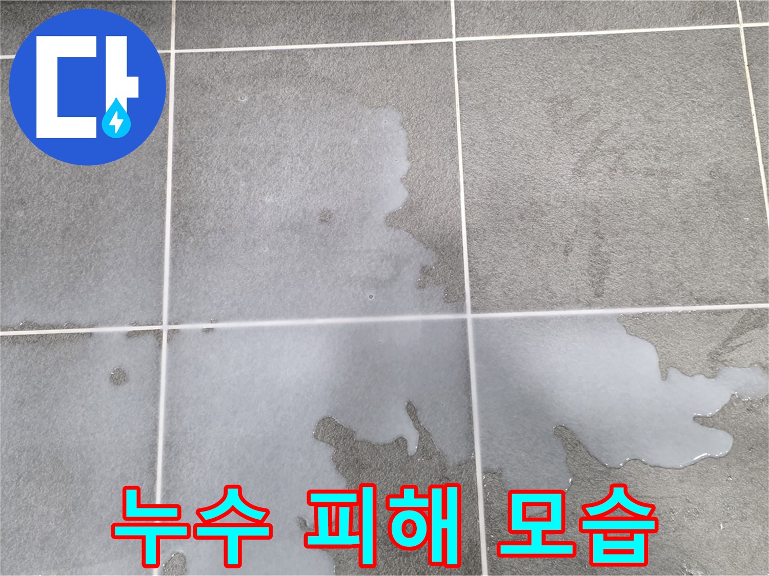 동패동 아파트 누수 피해 모습 - 신속한 누수 탐지와 완벽한 해결