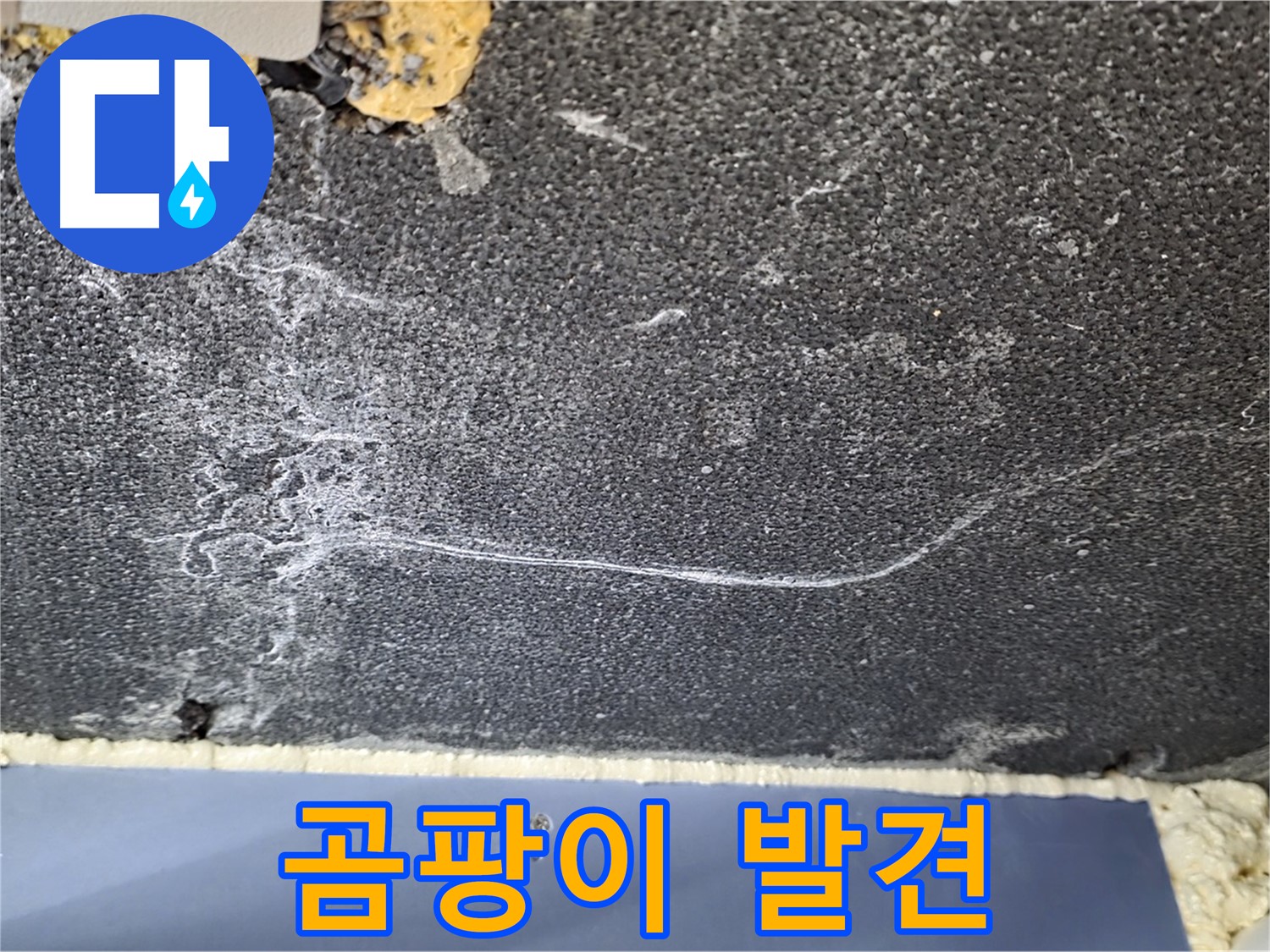 운정 아파트 천장 누수 - 배관 주변 곰팡이 발견