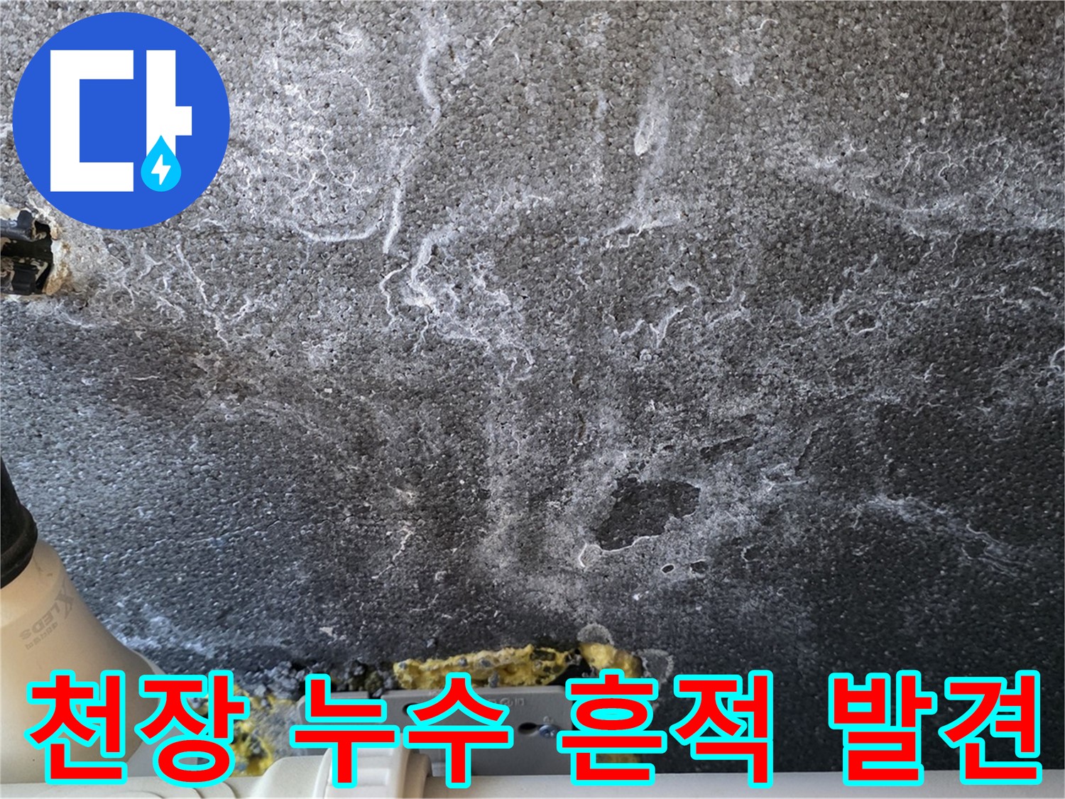 운정 어반프라임 천장 누수 흔적 - 누수 초기 발견의 중요성과 전문가의 진단 필요성