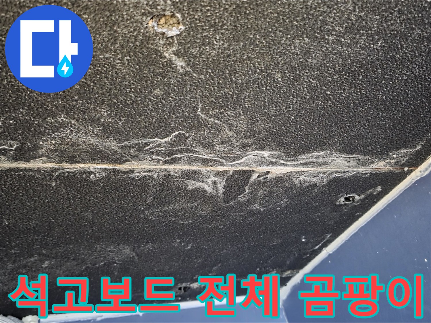 운정어반프라임 곰팡이 - 석고보드 전체 곰팡이 발생