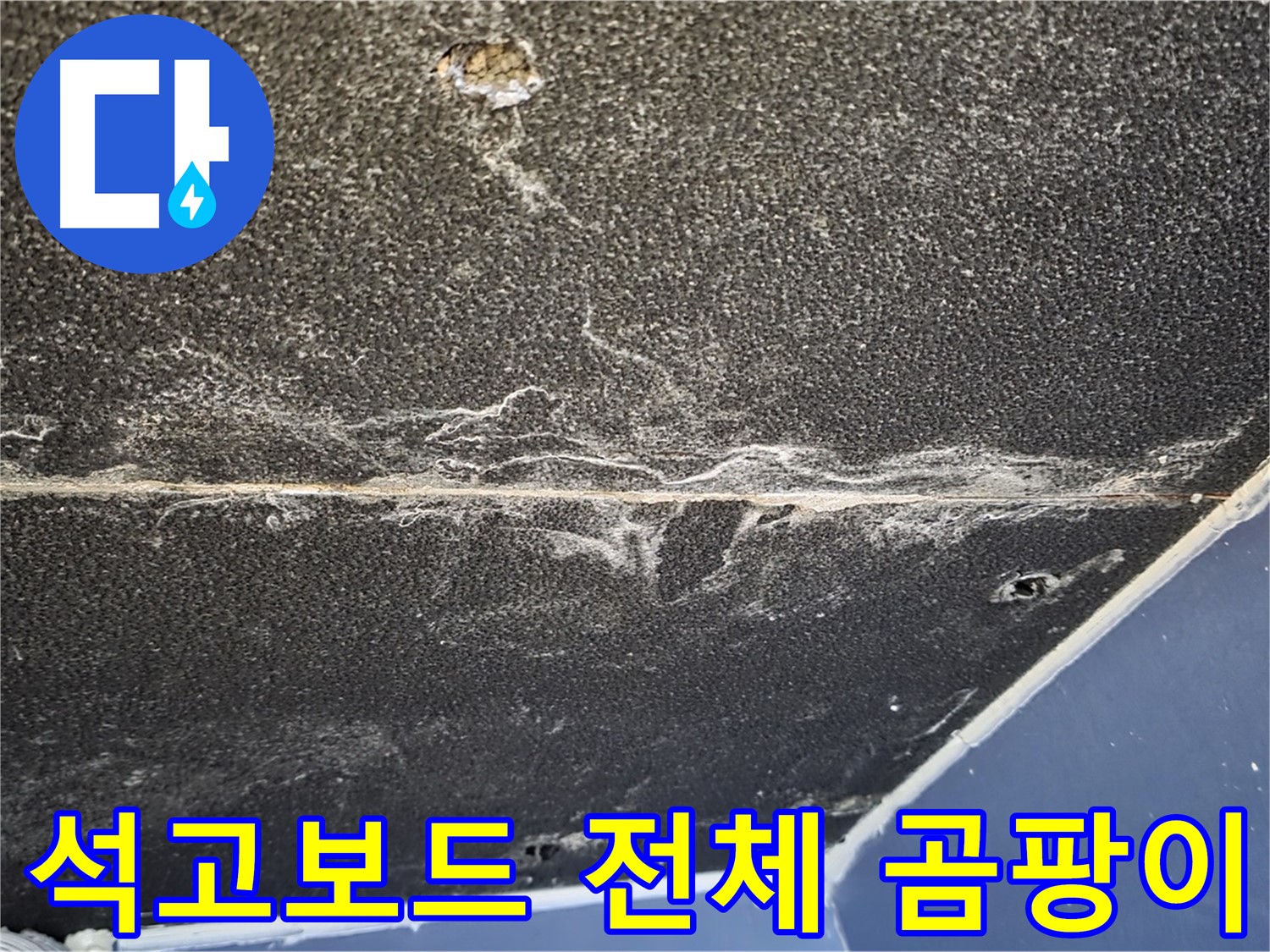 운정어반프라임 곰팡이 - 석고보드 전체 곰팡이 발생