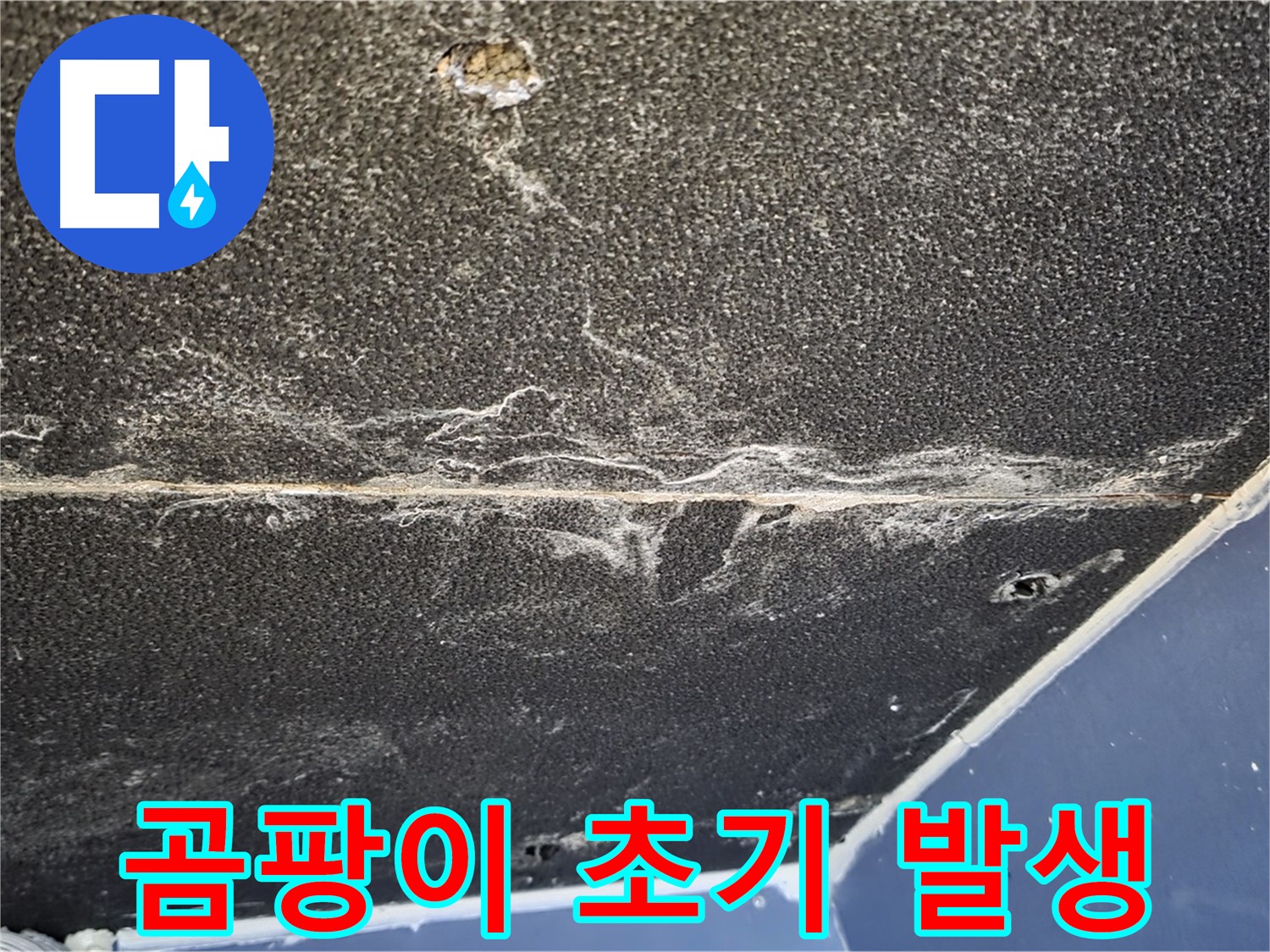 운정어반프라임 곰팡이 - 석고보드 표면 곰팡이 초기 발생 확인