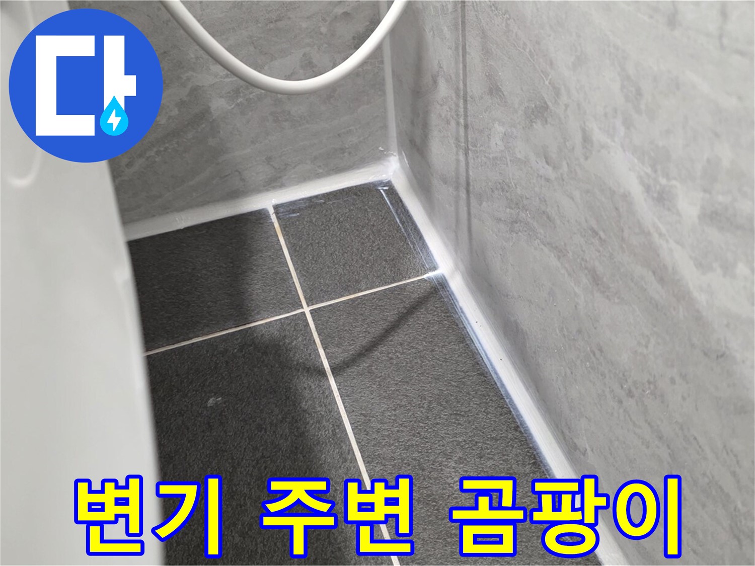 운정어반프라임 변기 - 변기 주변 곰팡이 발생 원인 분석