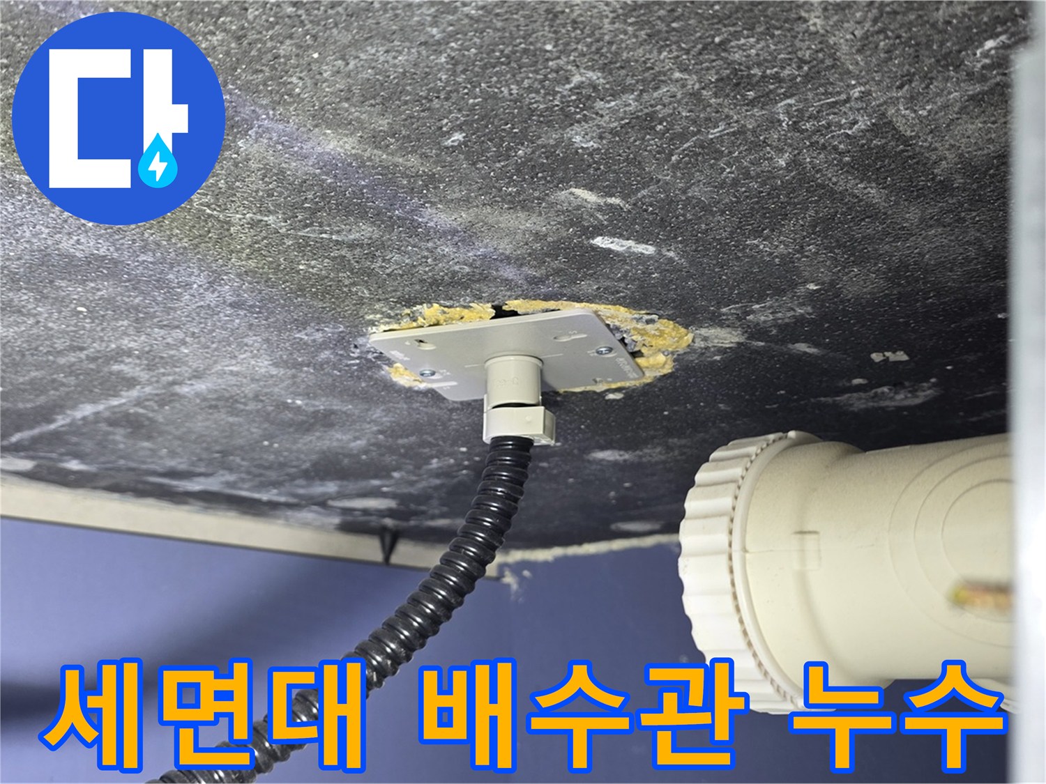 운정어반프라임 세면대 배수관 누수 - 배수관 연결부에서 누수 지점을 확인하는 모습