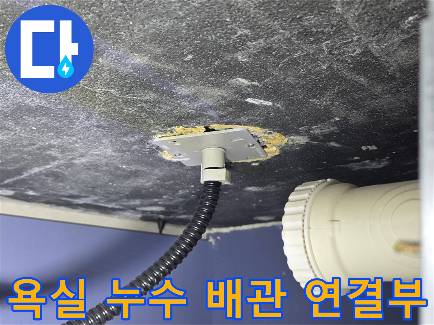 운정어반프라임 욕실 천장 누수 - 배관 연결부 문제 확인 및 해결 과정