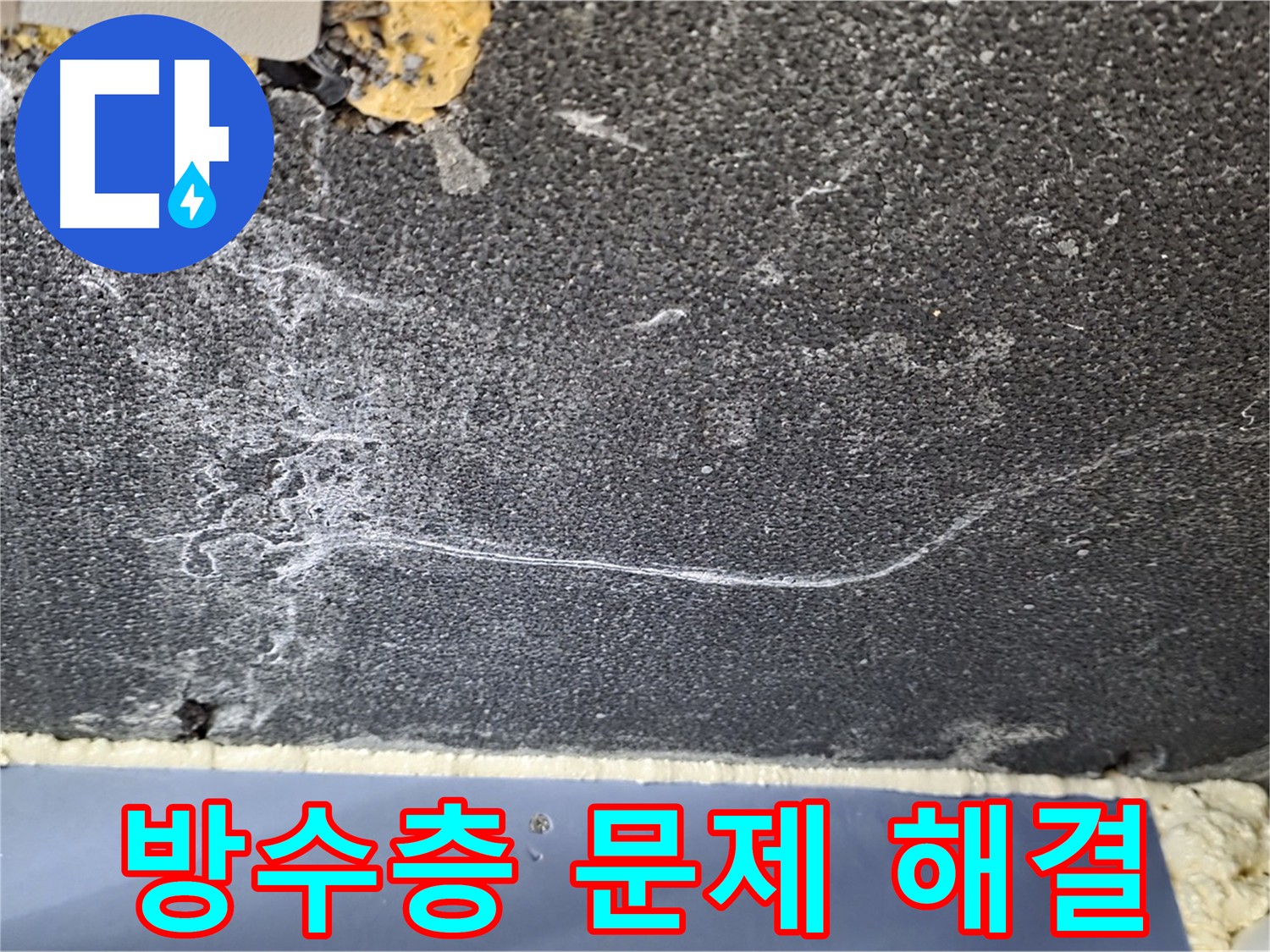 운정 아파트 화장실 누수 - 방수층 손상으로 누수 발생