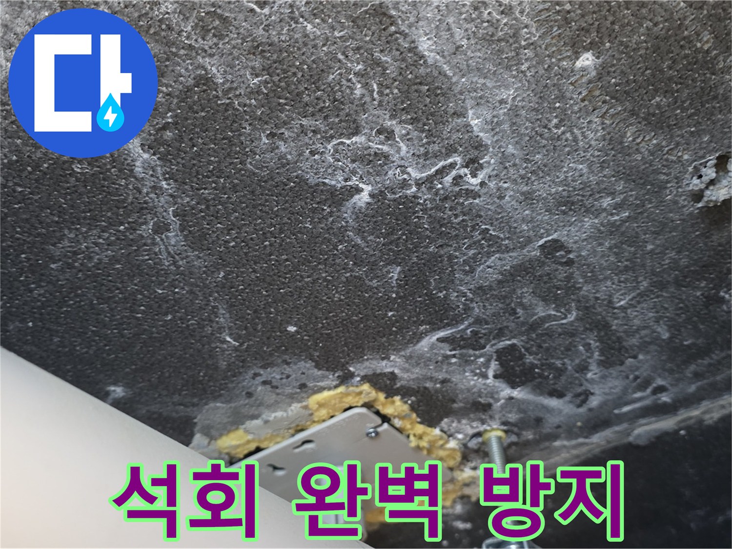 파주 누수 전문가 - 천장 누수 석회 완벽 방지 전문 시공
