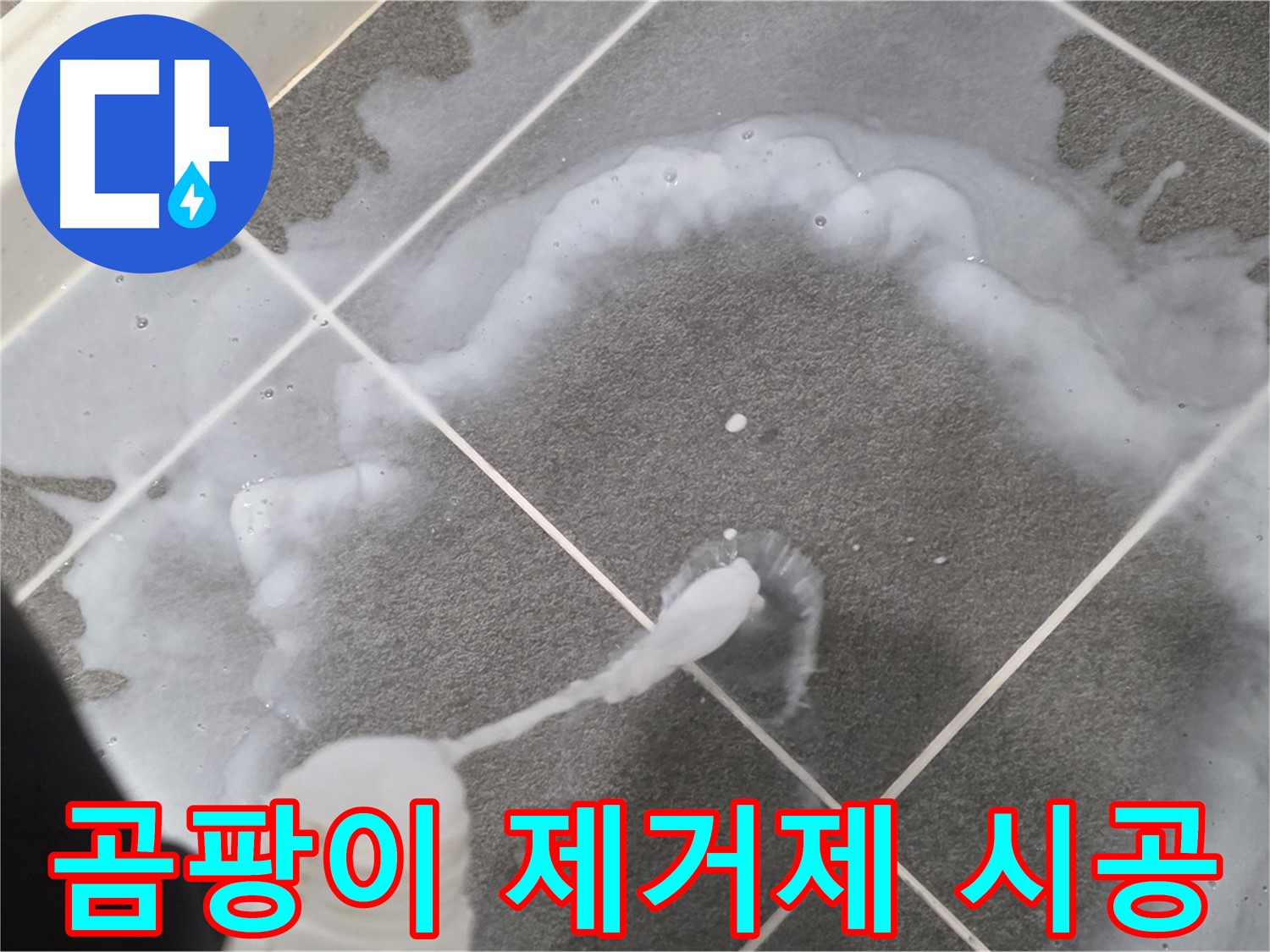 파주 동패동 아파트 욕실 - 곰팡이 제거제 꼼꼼 시공으로 깨끗하게