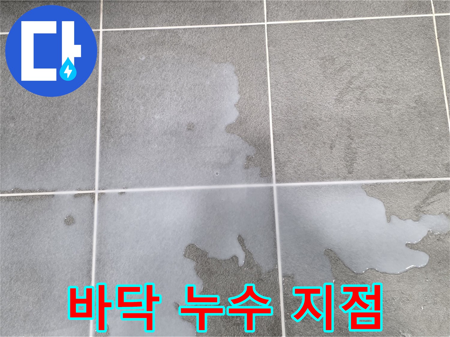 파주 동패동 아파트 욕실 바닥 누수 지점 - 꼼꼼한 점검과 정확한 원인 파악