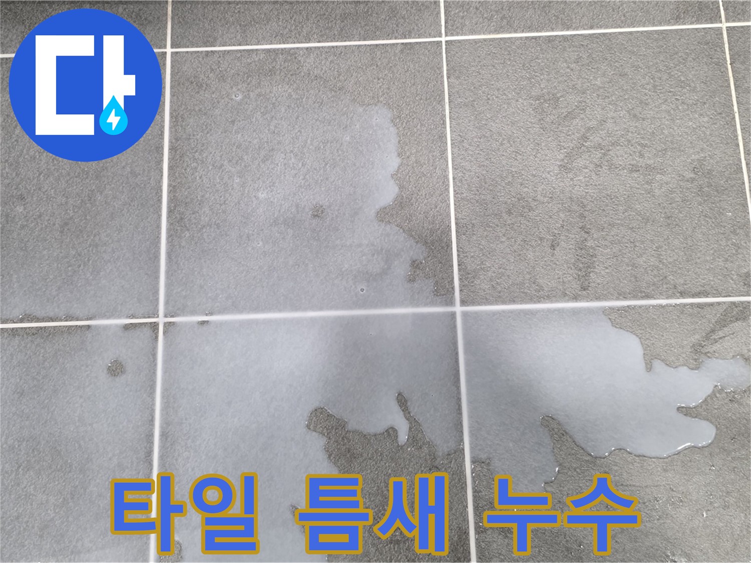 파주 동패동 운정어반프라임 1201동 아파트 - 욕실 타일 틈새 누수 초기 발견