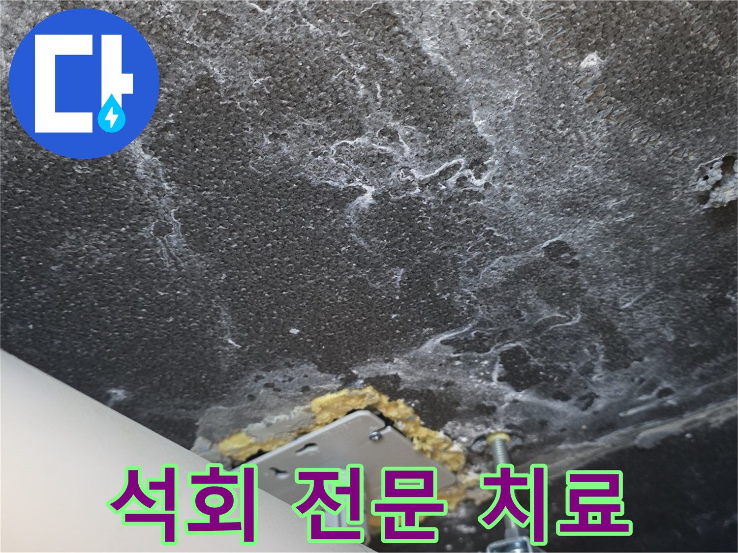파주시 동패동 누수 - 석회 전문 치료 및 재발 방지 전문 시공 진행