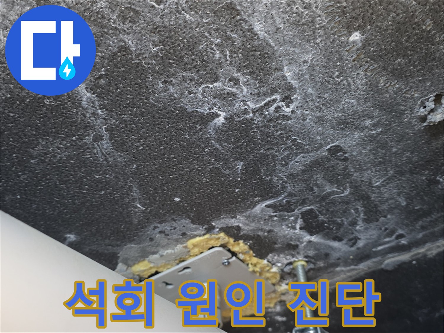 파주시 동패동 누수 - 천장 석회 누수 원인 정밀 진단 과정
