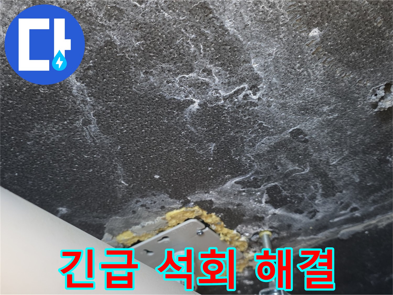 파주시 동패동 아파트 누수 - 긴급 석회 누수 완벽 해결 완료