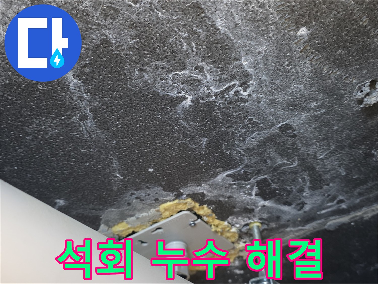 파주시 동패동 아파트 누수 - 천장 석회 누수 완벽 해결 과정 공개