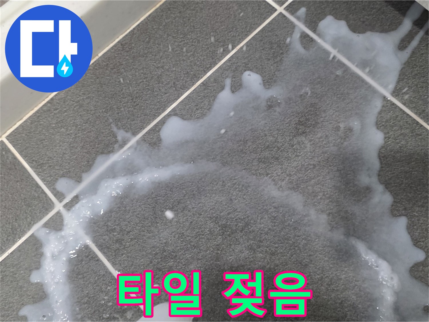 파주시 동패동 운정어반프라임 1201동 아파트 타일 젖음 - 누수탐지 전문 업체가 누수 진단과 책임감 있는 시공으로 문제 해결