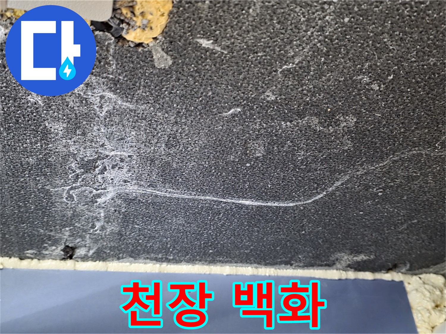 파주시 동패동 운정어반프라임 아파트 천장 누수 - 백화 현상으로 인한 누수 의심