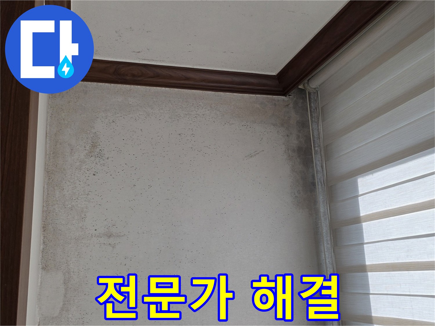 노원구 중계동 곰팡이 누수 - 전문가의 손길로 깨끗하게 해결
