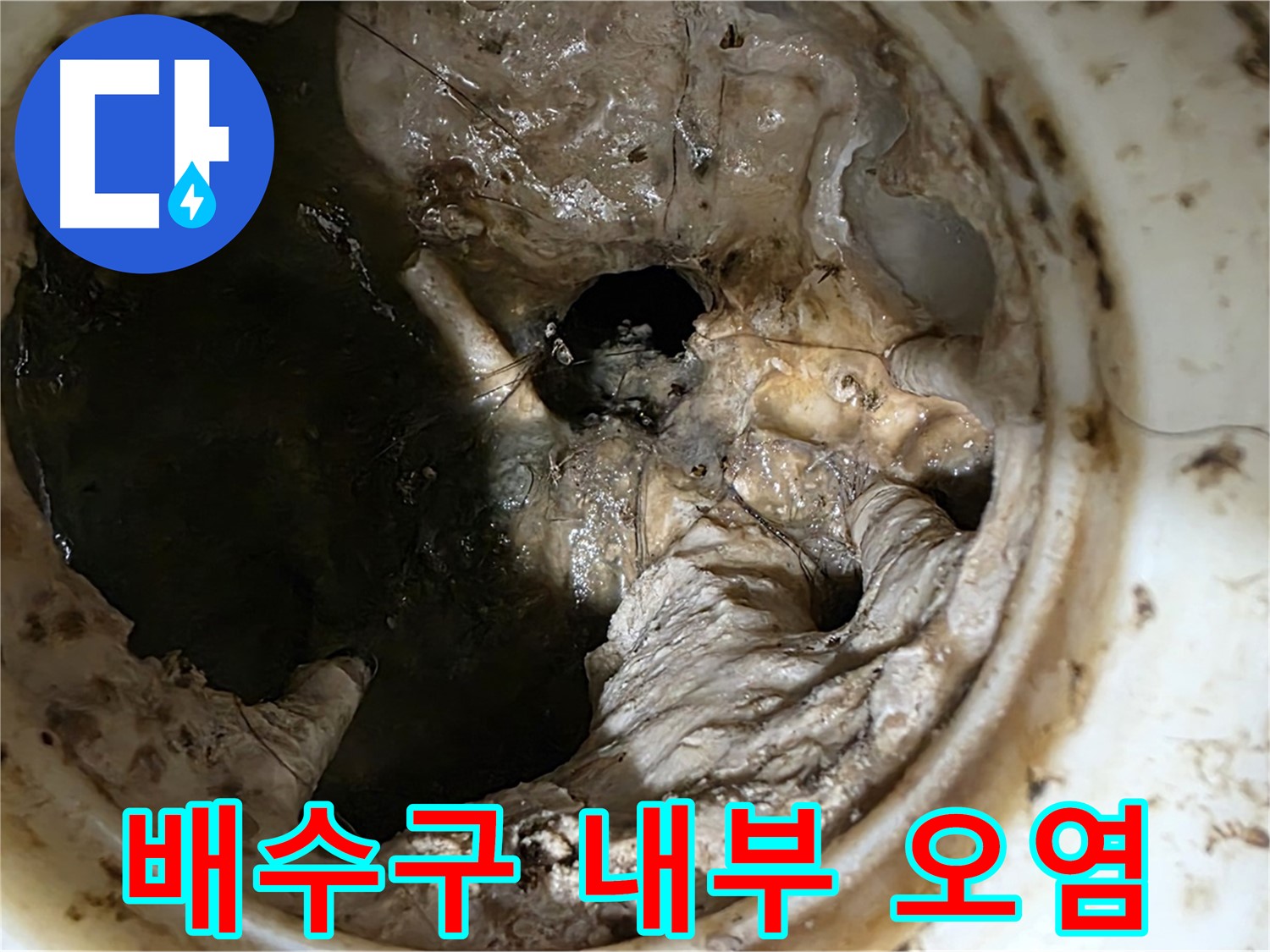 노원구 중계동 현대5차 211동 아파트 - 싱크대 배수구 내부 오염 상태