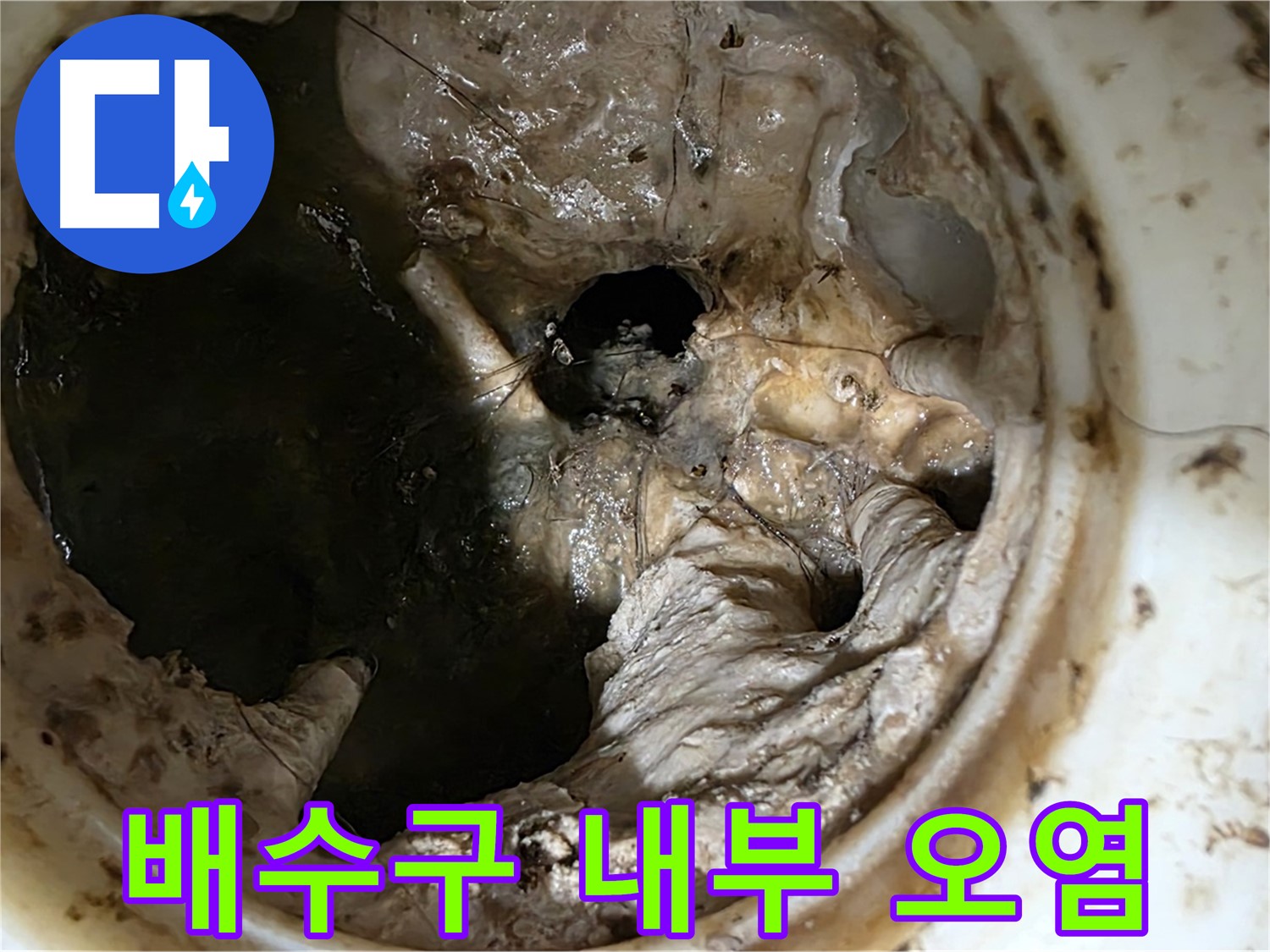 노원구 중계동 현대5차 211동 아파트 - 싱크대 배수구 내부의 심각한 오염 상태
