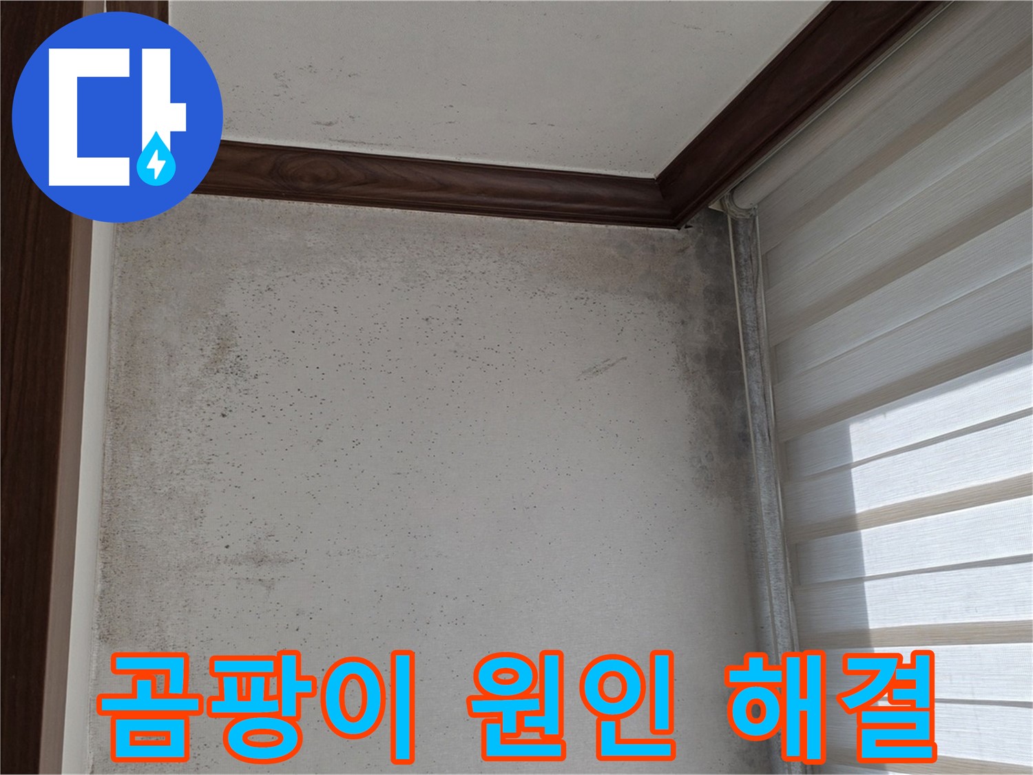 노원구 중계동 현대5차 곰팡이 누수 - 원인부터 해결까지 책임 시공
