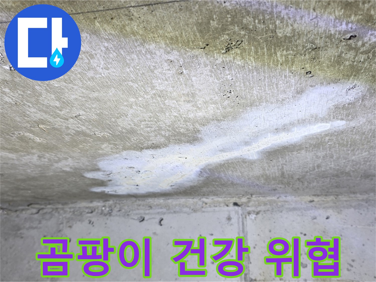 노원구 중계동 현대5차 누수 - 곰팡이 발생 - 건강 위협