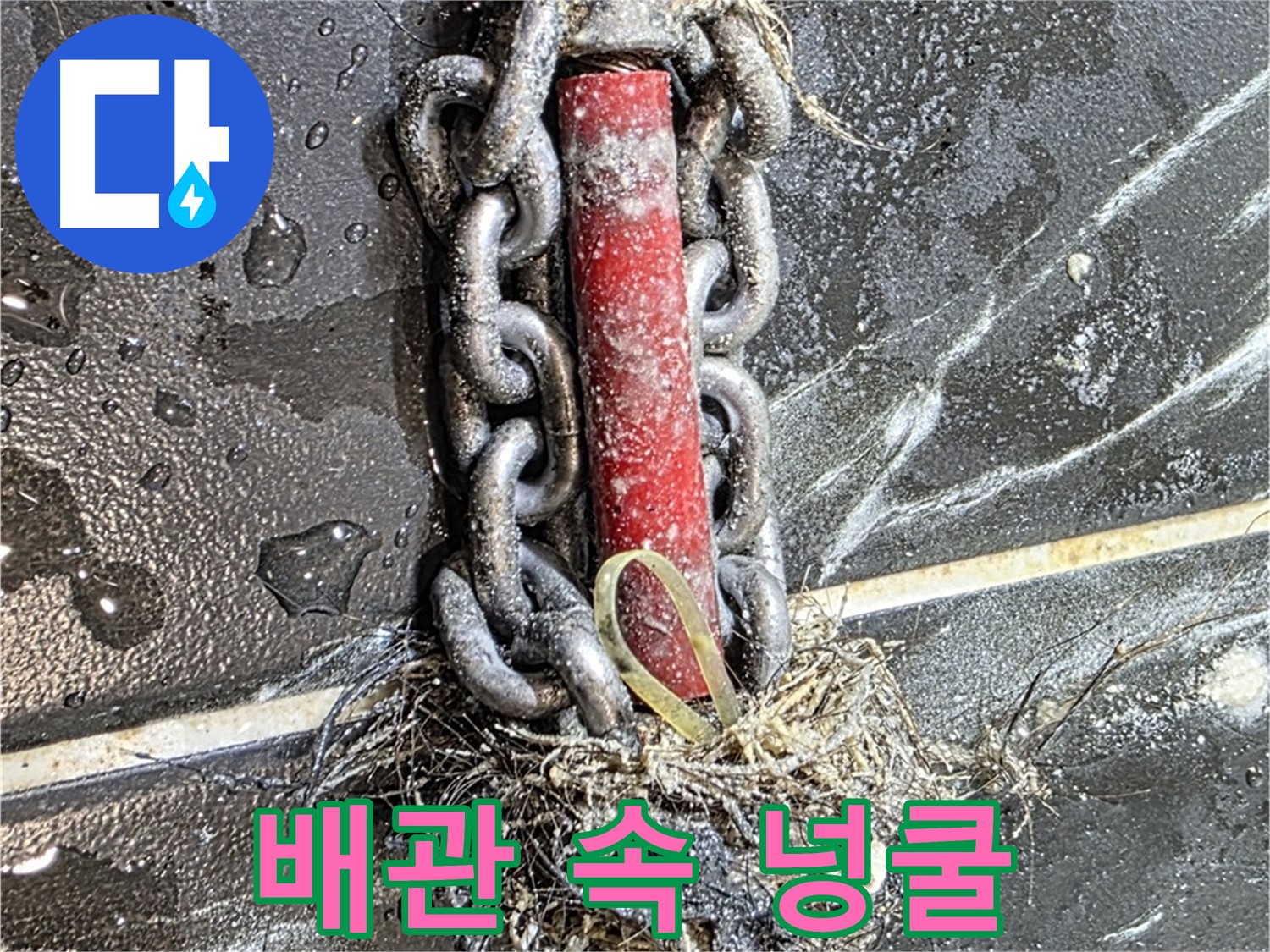 노원구 중계동 현대5차 아파트 누수 - 배관 속 '넝쿨'처럼 엉킨 이물질 덩어리