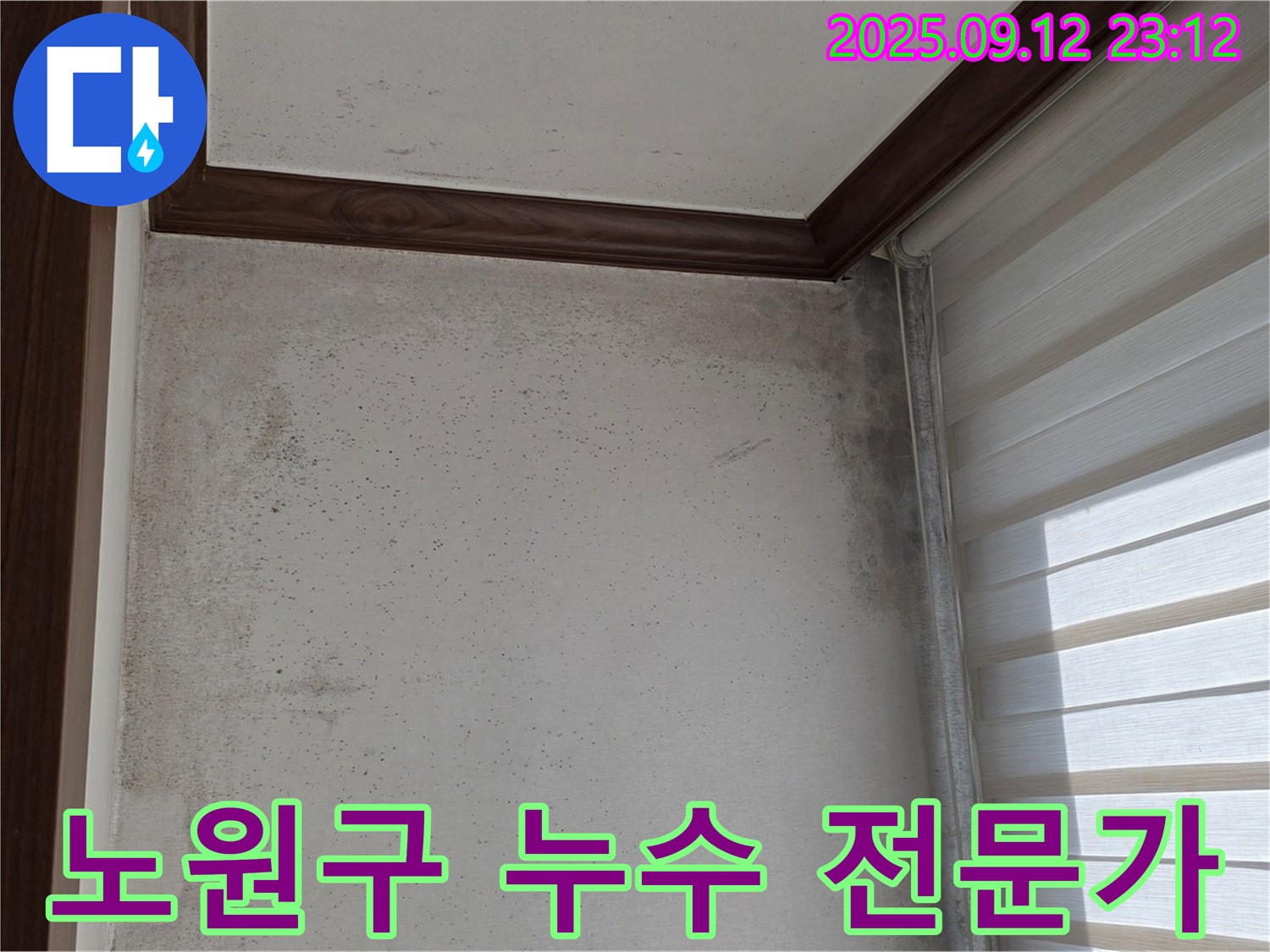 노원구 중계동 현대5차 아파트 누수 해결 - 전문가의 손길로 곰팡이 문제까지 완벽하게 해결했습니다.