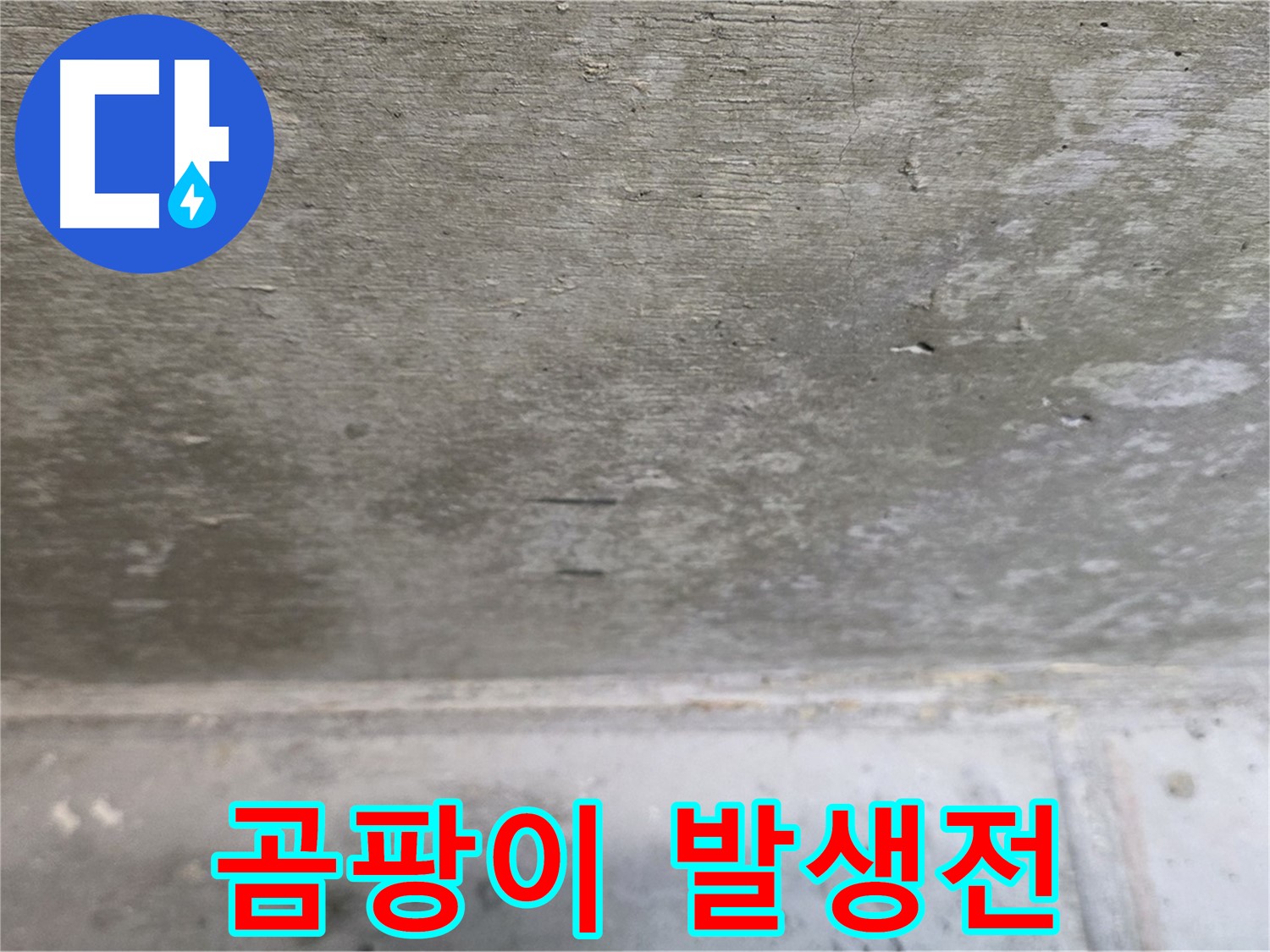 노원구 중계동 현대5차 아파트 콘크리트 천장 누수 - 곰팡이 발생 직전 - 사전 예방이 중요합니다.