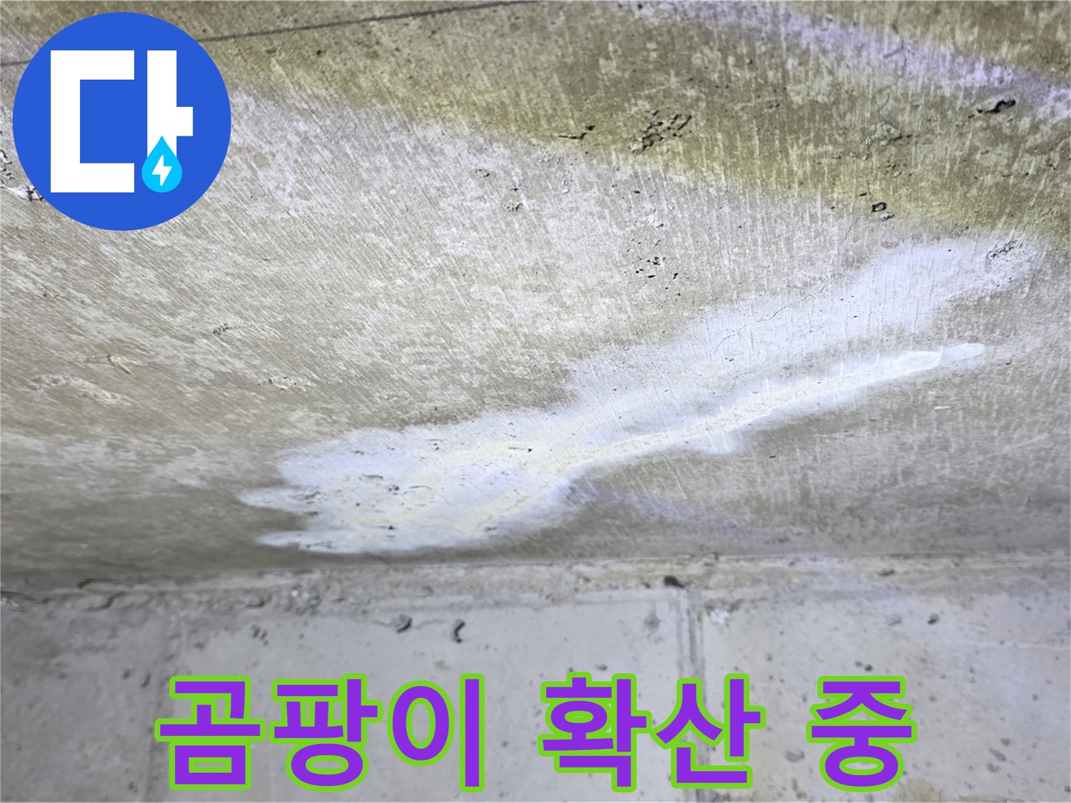 노원구 중계동 현대5차 천장 누수 - 곰팡이 확산 - 건강 위협