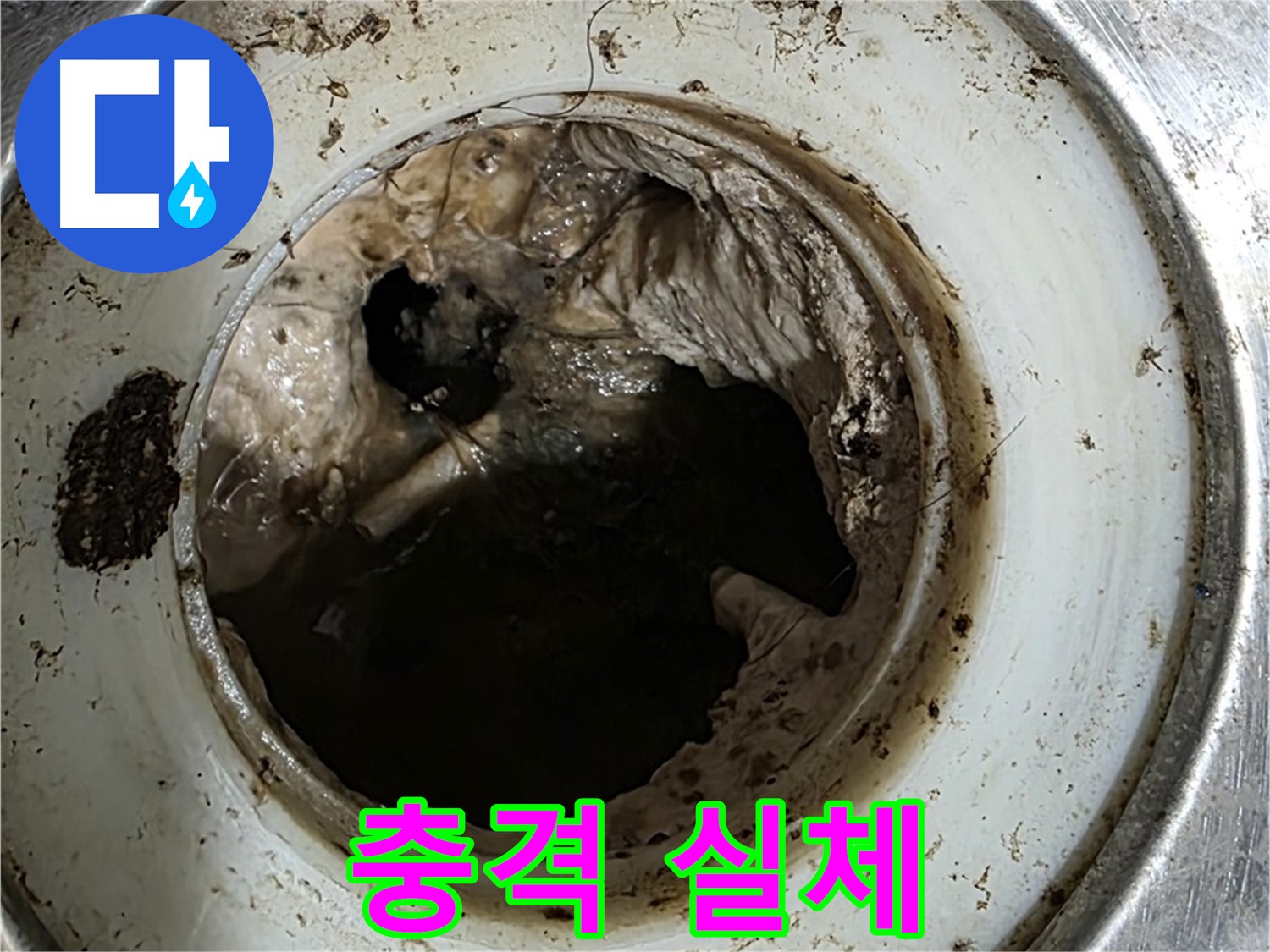 중계동 현대5차 211동 누수 - 배수구 속 충격적인 실체 - 혐오 주의!