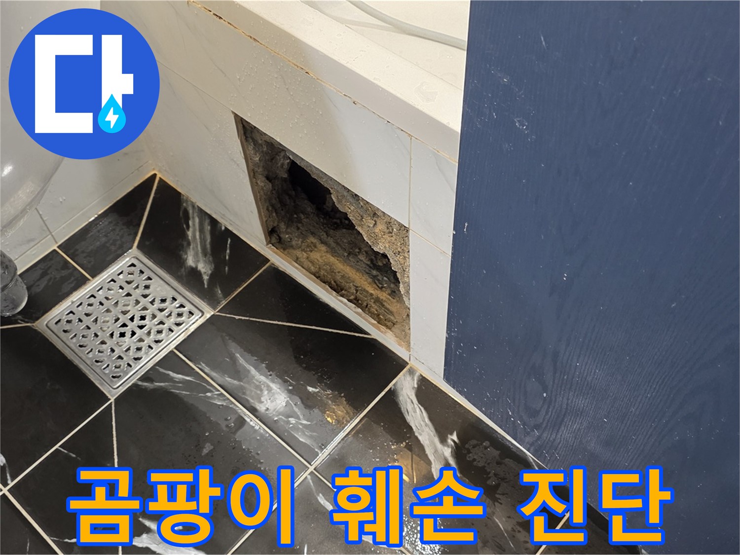 중계동 현대5차 211동 욕실 - 벽면 곰팡이와 훼손, 누수 전문가의 진단