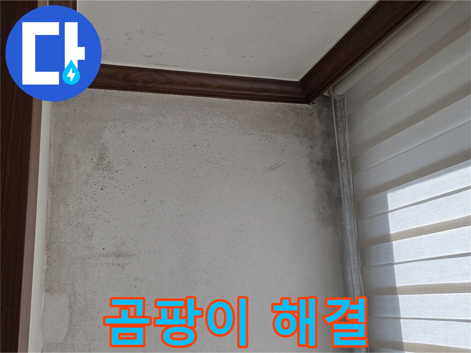 중계동 현대5차 곰팡이 누수 - 곰팡이 완전 제거, 쾌적한 공간으로