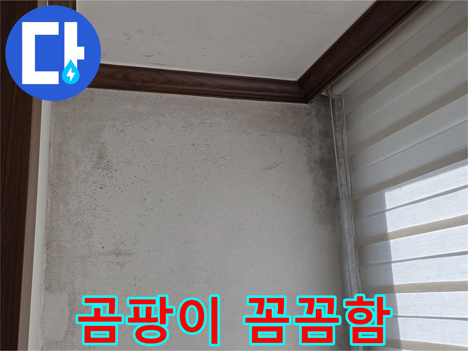 중계동 현대5차 곰팡이 누수 - 꼼꼼한 전문가의 손길로 완벽하게 해결