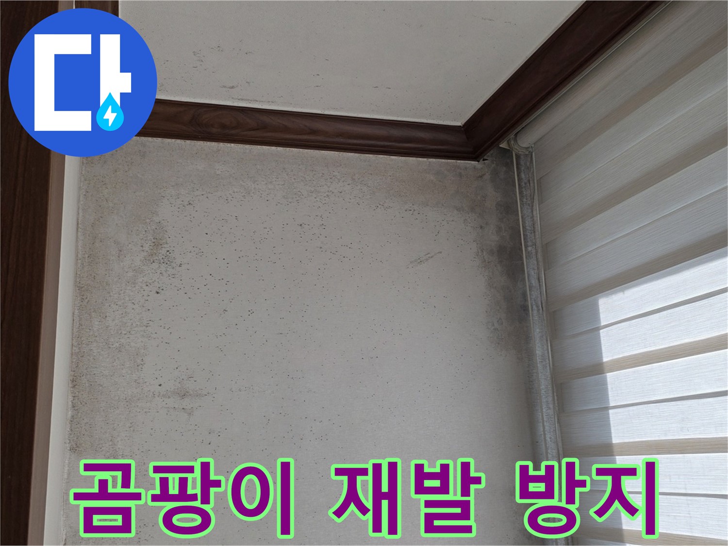 중계동 현대5차 아파트 곰팡이 누수 - 완벽 해결 및 재발 방지 시공