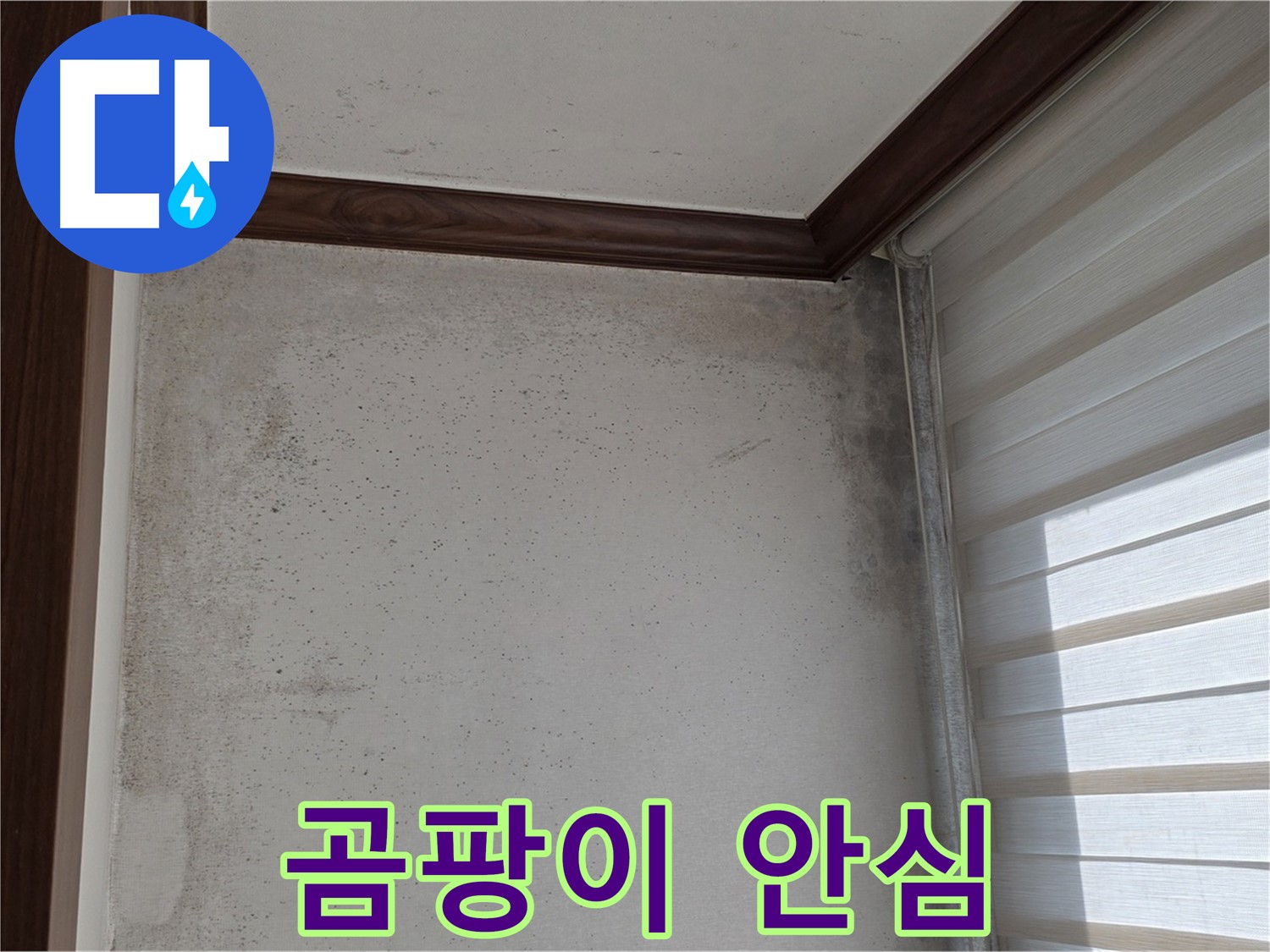 중계동 현대5차 아파트 곰팡이 누수 - 완벽하게 해결, 안심하고 맡겨주세요.