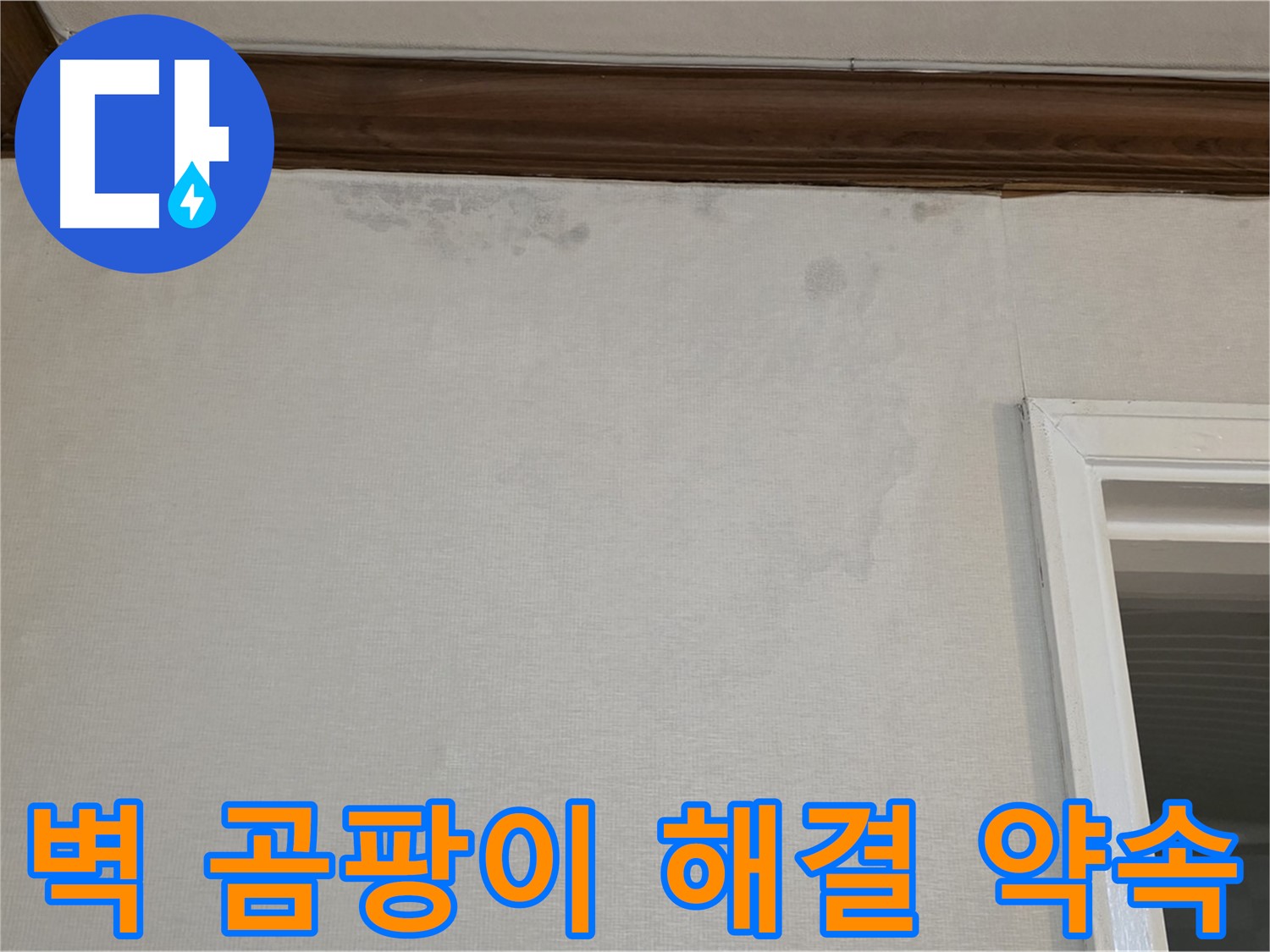 중계동 현대5차 아파트 벽 모서리 곰팡이 - 확실한 해결 약속