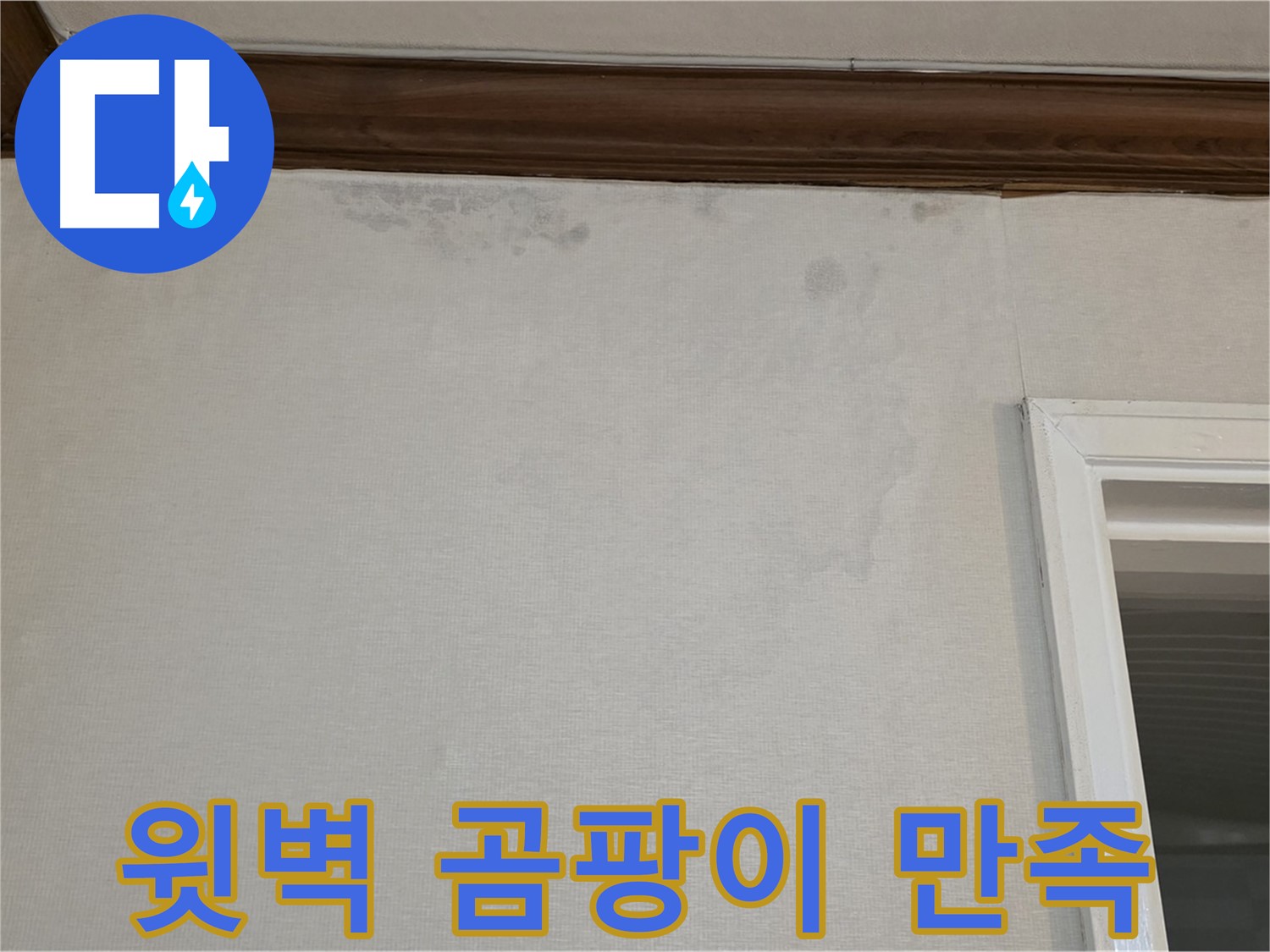 중계동 현대5차 아파트 윗벽 곰팡이 - 고객 만족 100% 약속