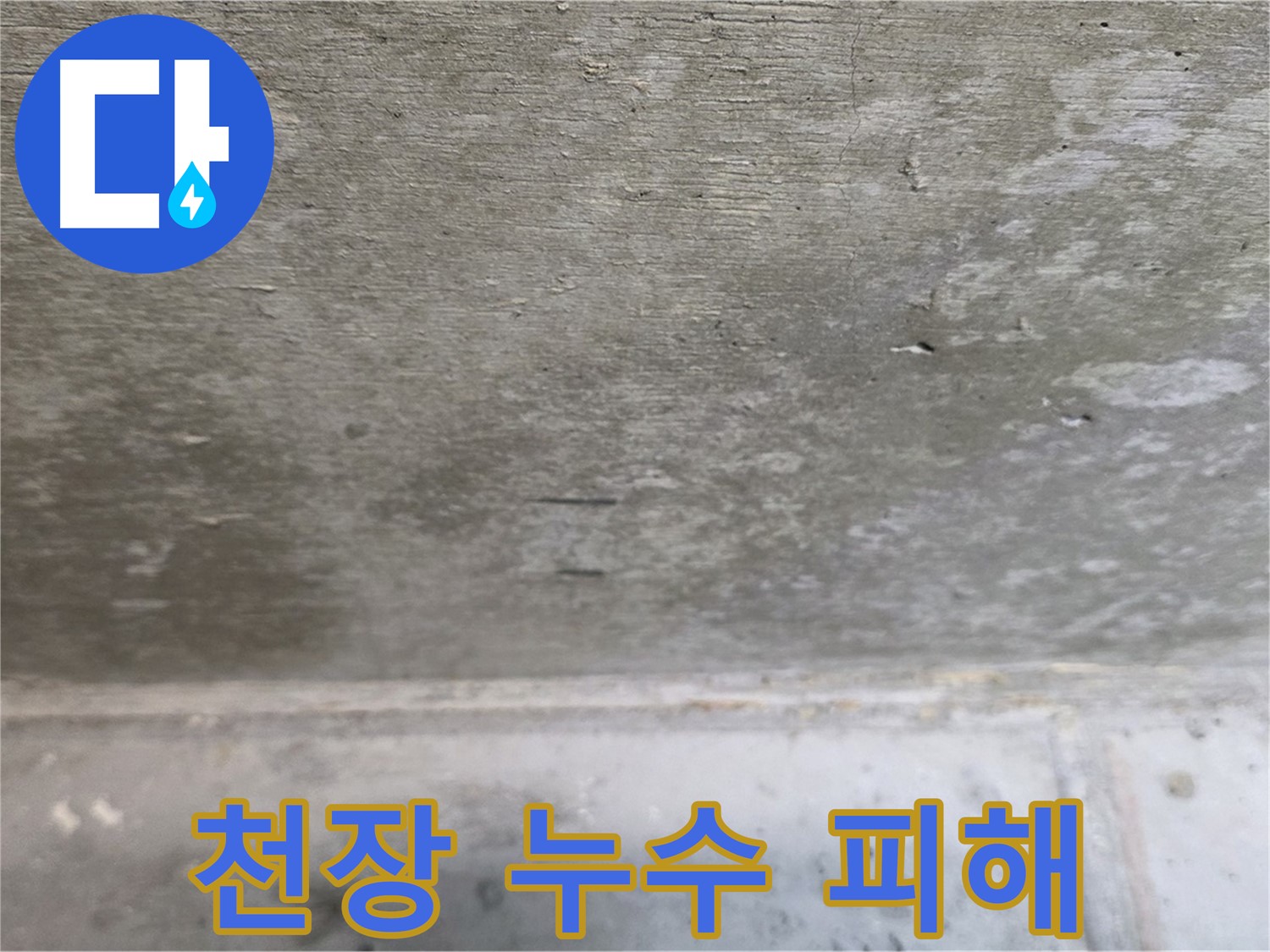 중계동 현대5차 아파트 천장 누수 피해 사진 - 꼼꼼한 점검과 확실한 시공으로 해결해 드립니다.